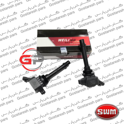کوئل SWM (G01 و G01f) | کوئل اس دبلیو ام